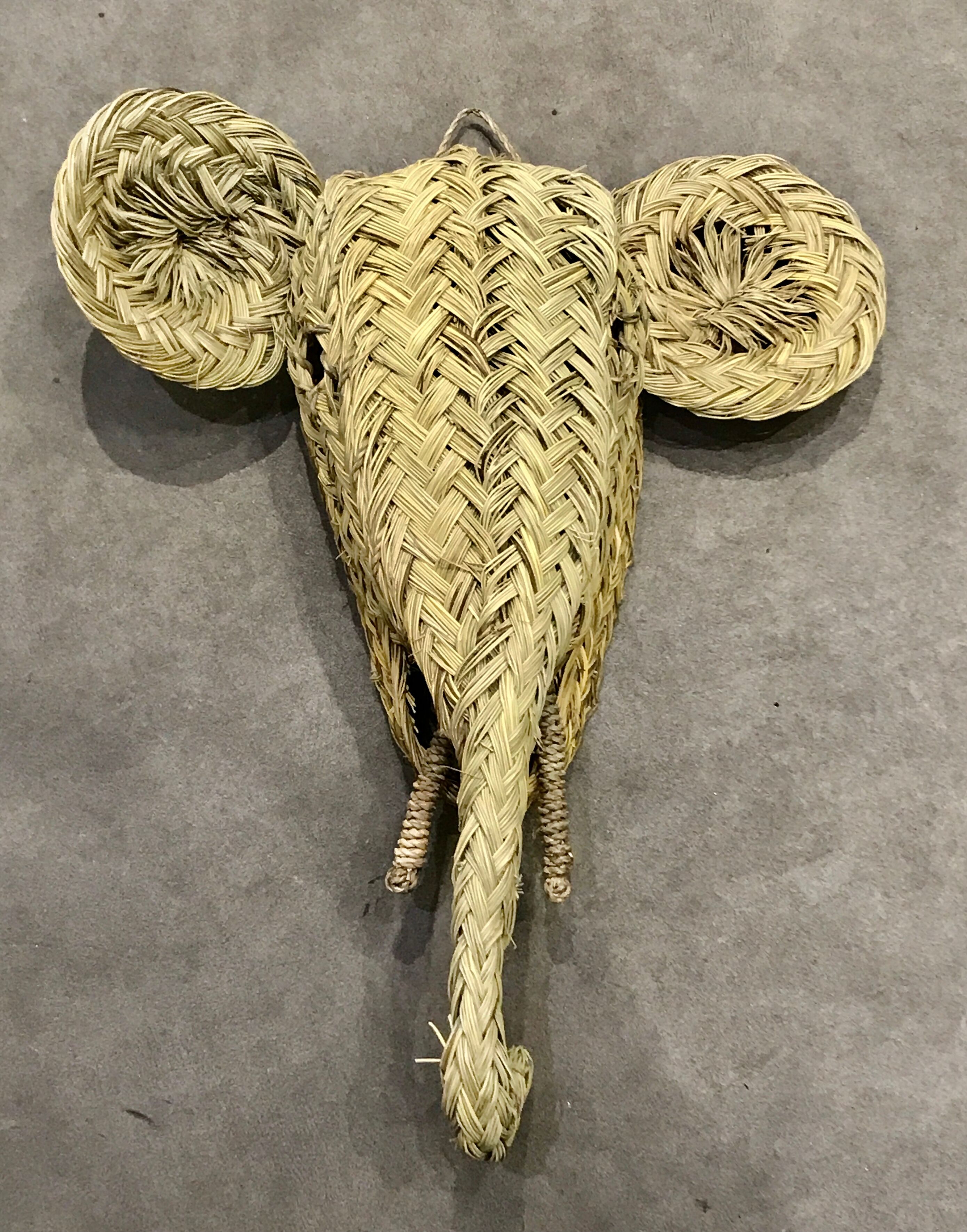 Trophy head elephant alfa braided