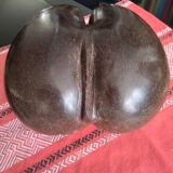 Coconut basket buttocks of Seychelles