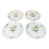 Flat plates stamped saline France