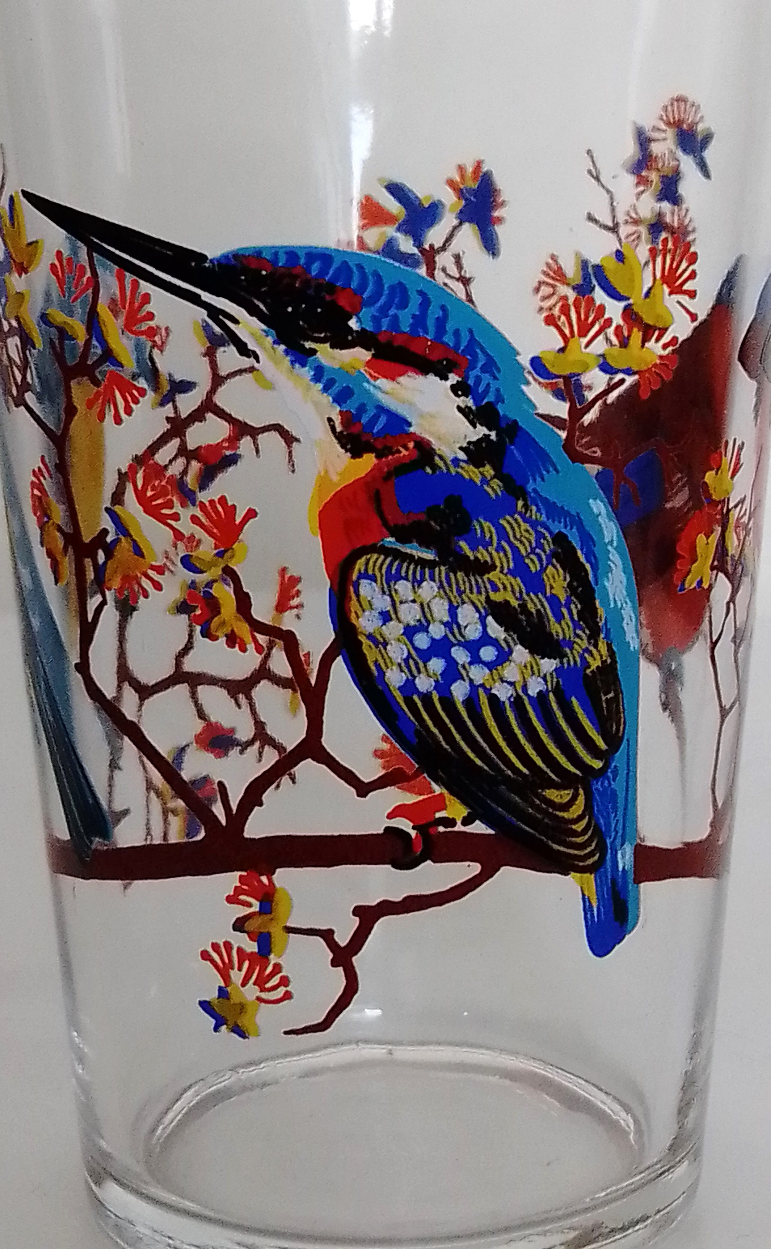 Set of 6 orangeade glasses seriographed "Birds"