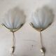 Sconces glass frosted metal golden years 1960-1970