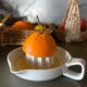 Citrus press with handle, earthenware spouts