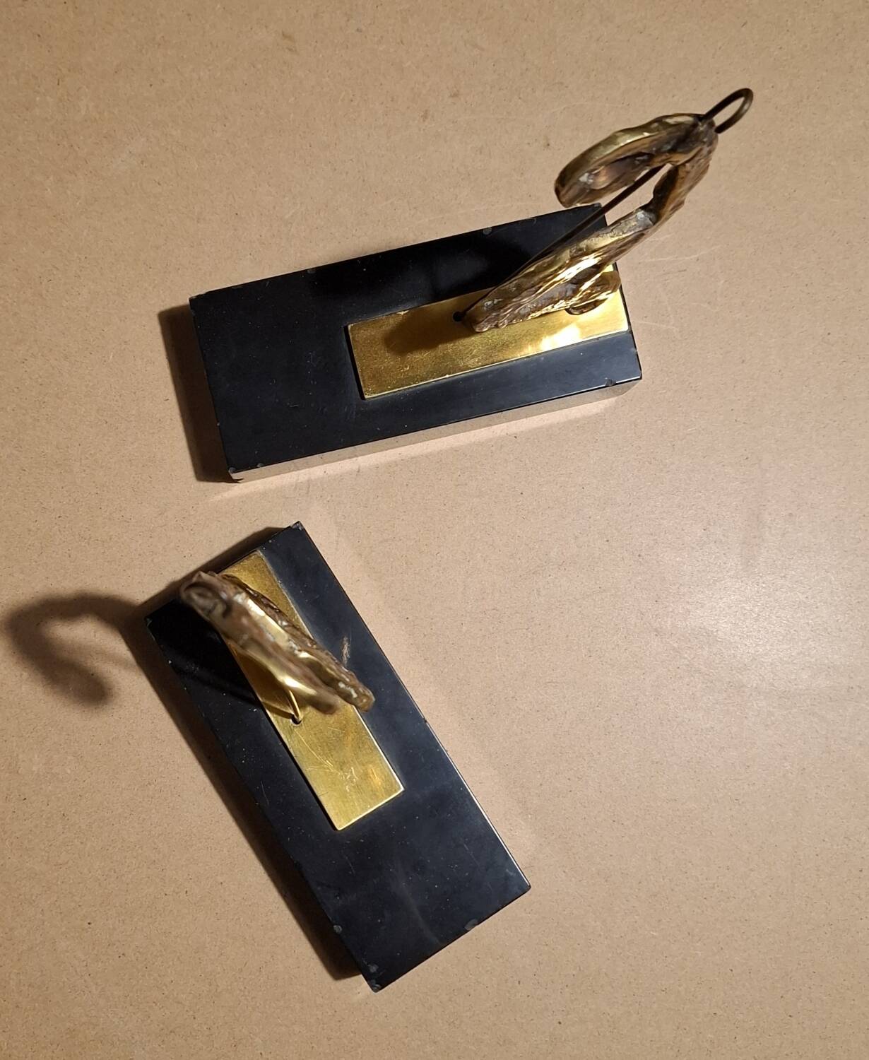 Serres-Livres Le Penseur