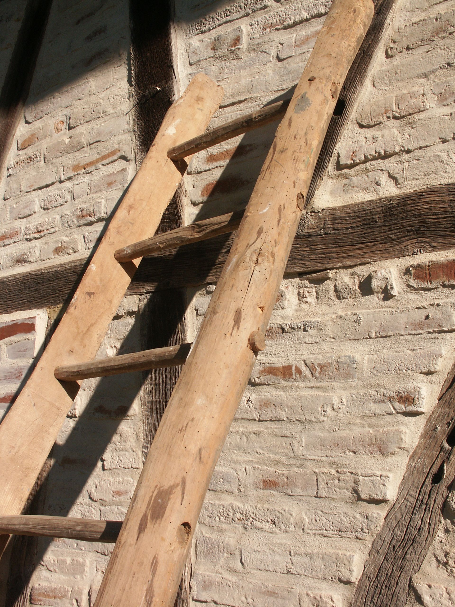 Craft farm scale 30/40s