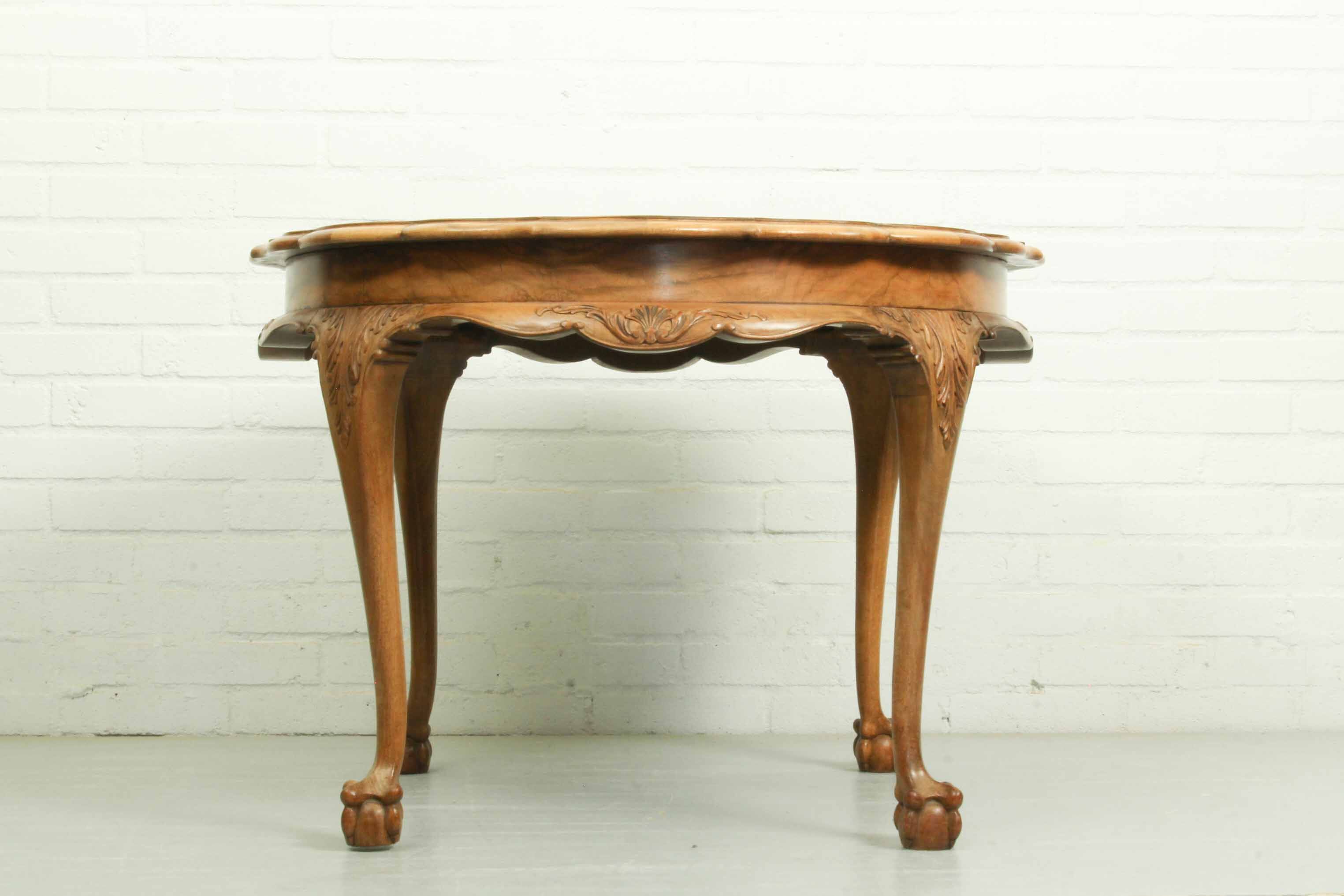 Coffee table in Baroque style, mid century, with claw foot legs, burl wood scalloped top