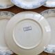 6 flat plates made of ironstone Sarreguemines U&C model Luchon