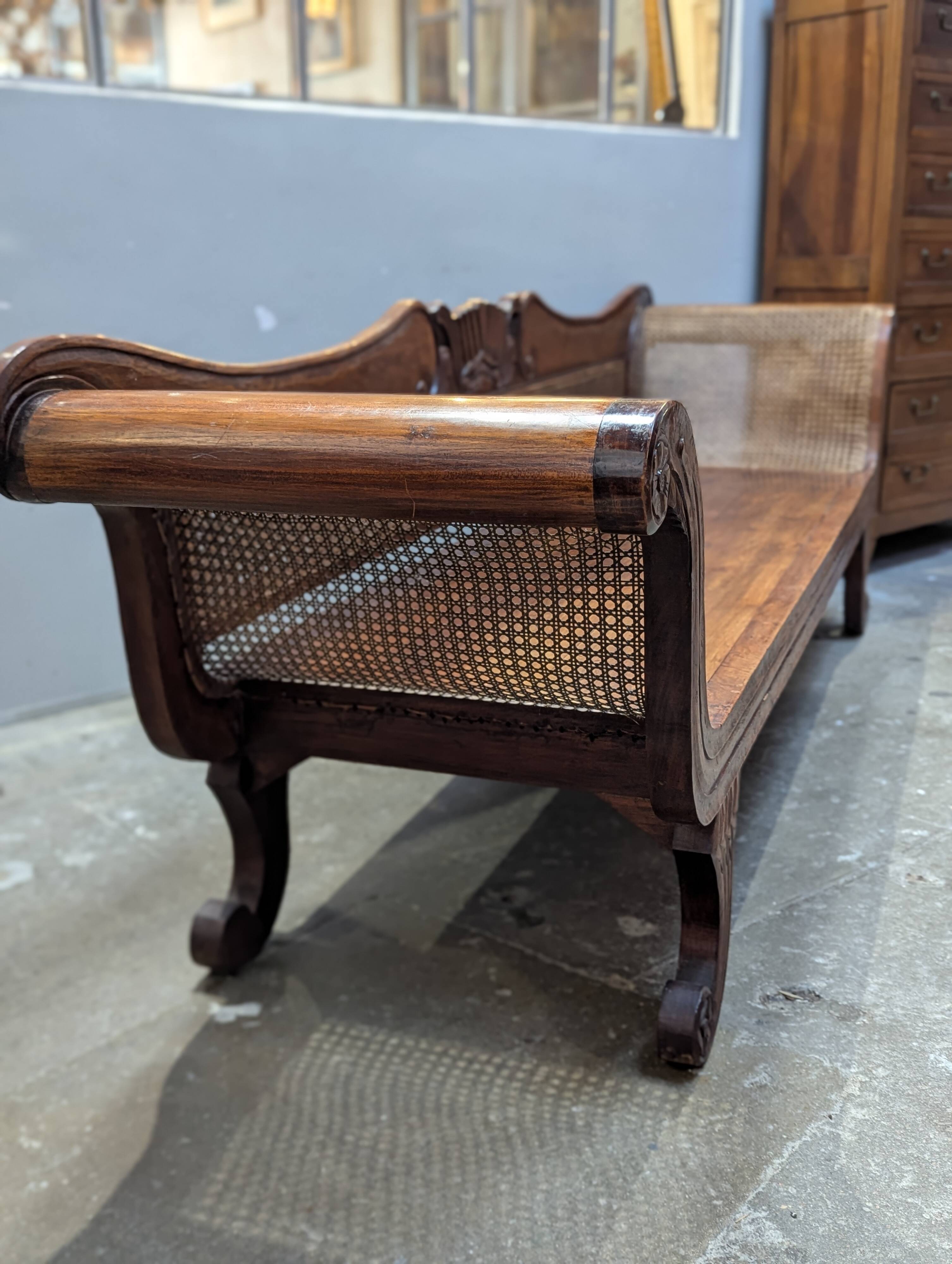 Very large colonial bans