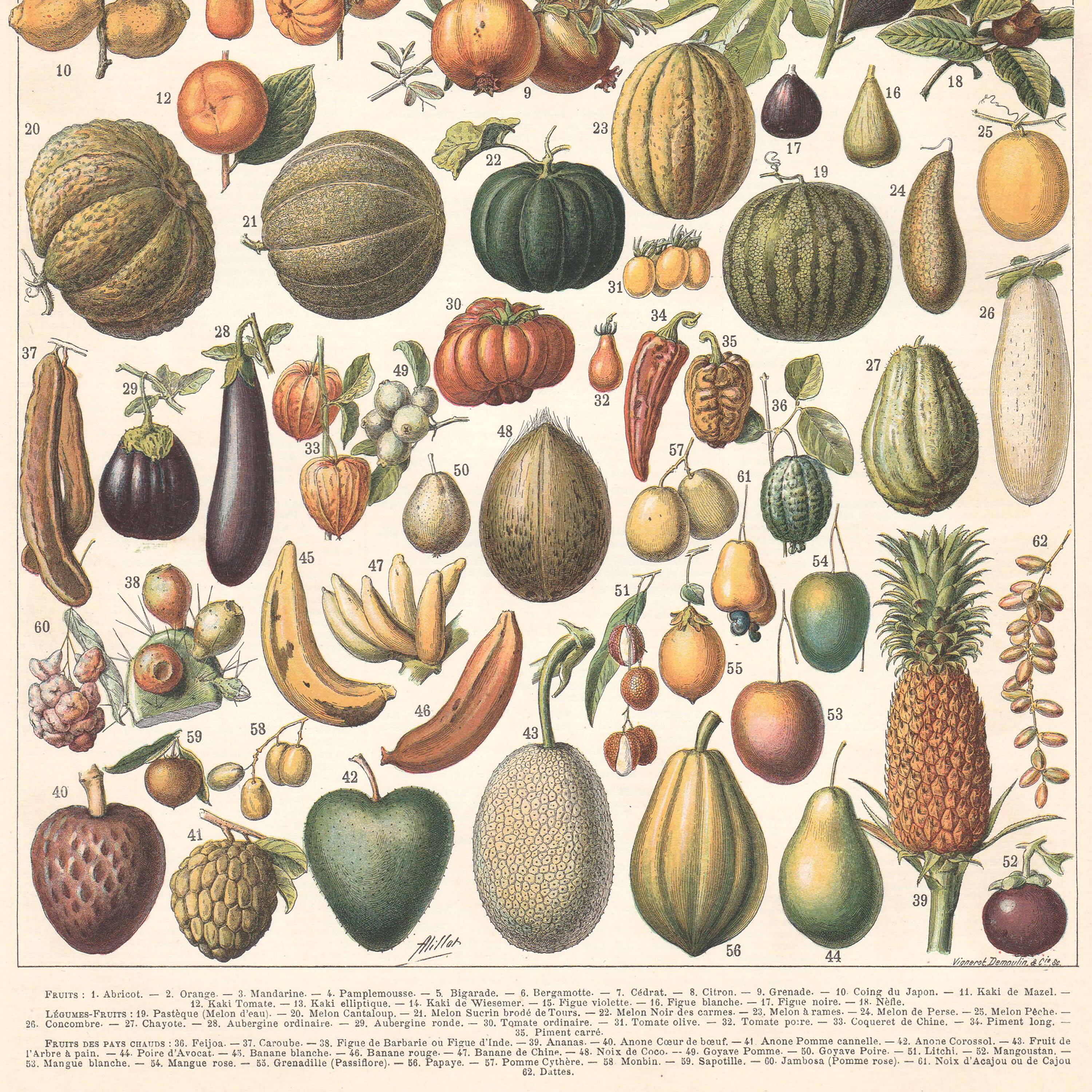 Old plate on fruits 1897