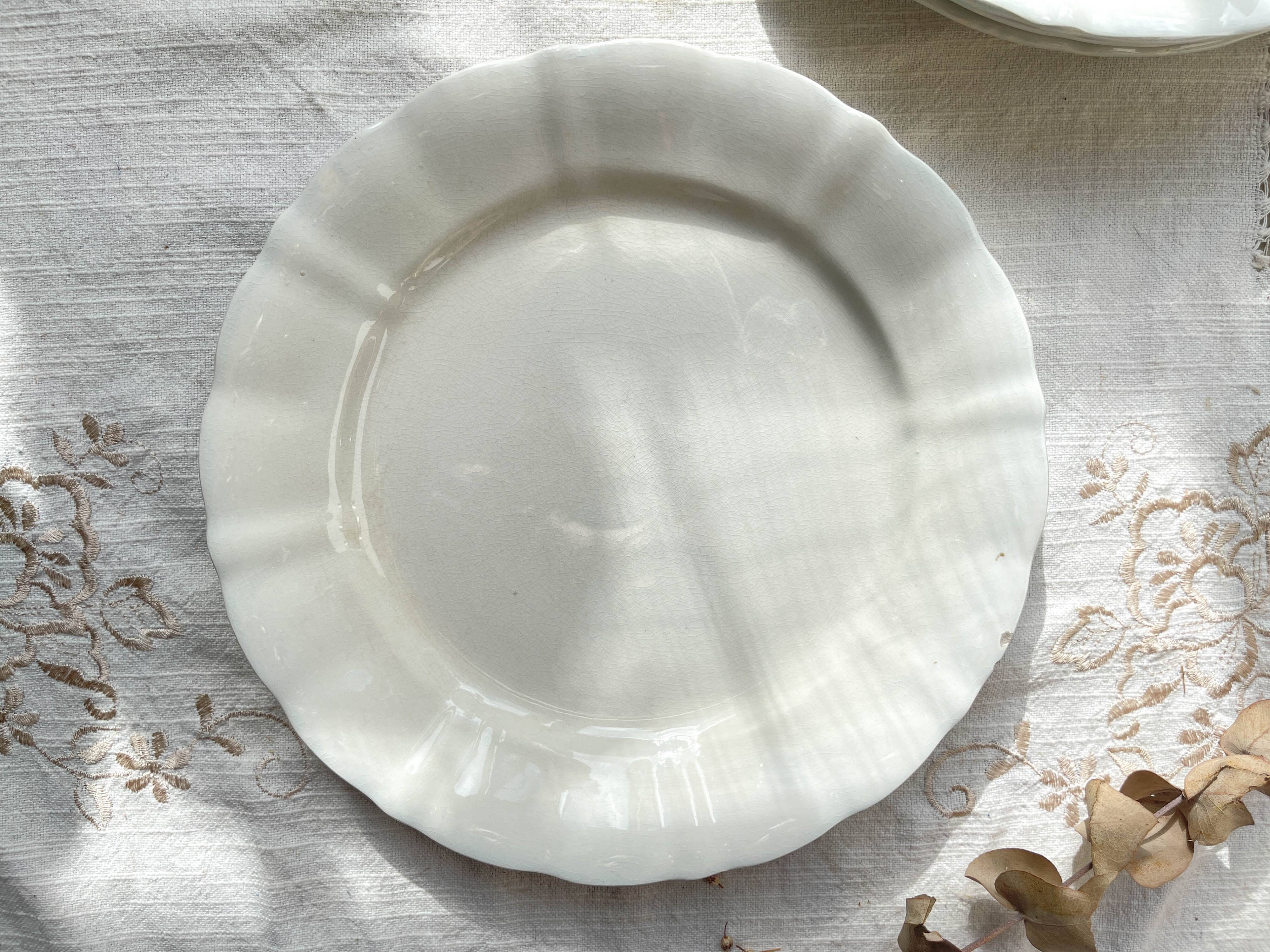 12 Vintage Terre de Fer White Plates + Small Gold White Porcelain Plates LIMOGES