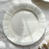 12 Vintage Terre de Fer White Plates + Small Gold White Porcelain Plates LIMOGES
