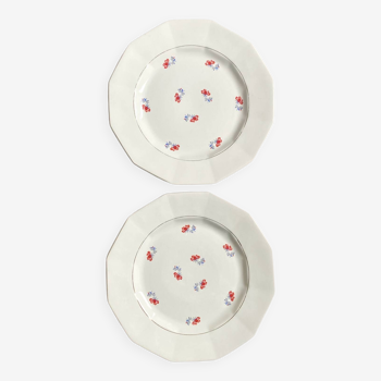 Dinner plates