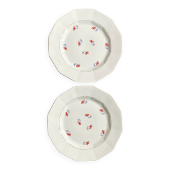 Dinner plates