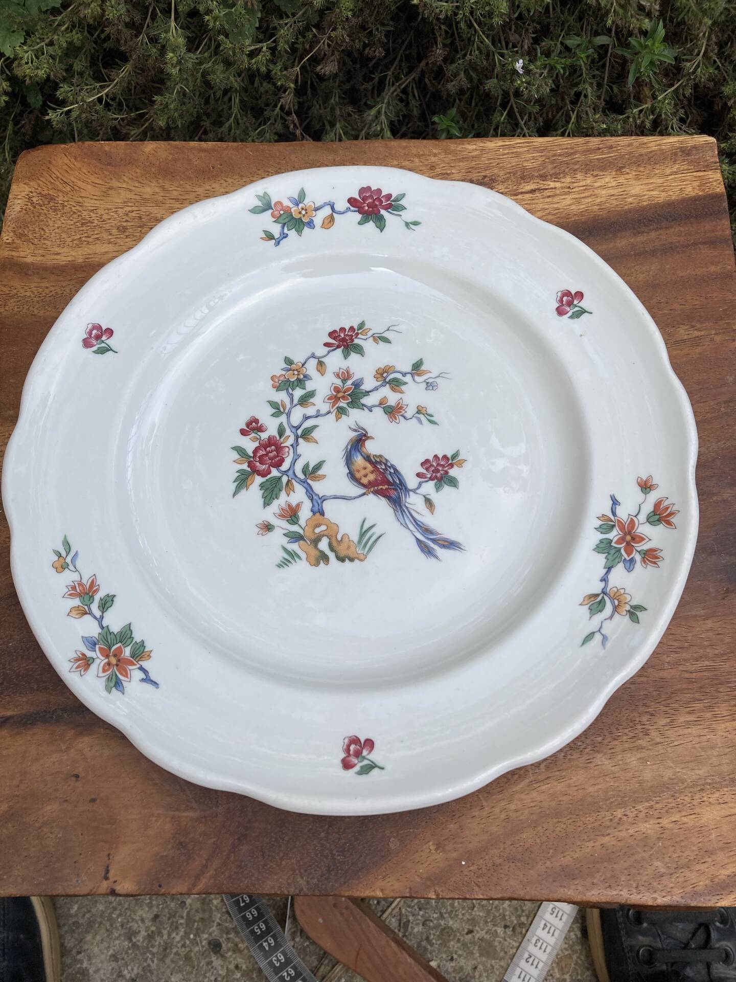 Flat plates with scalloped edges Sarreguemines bohemian chic