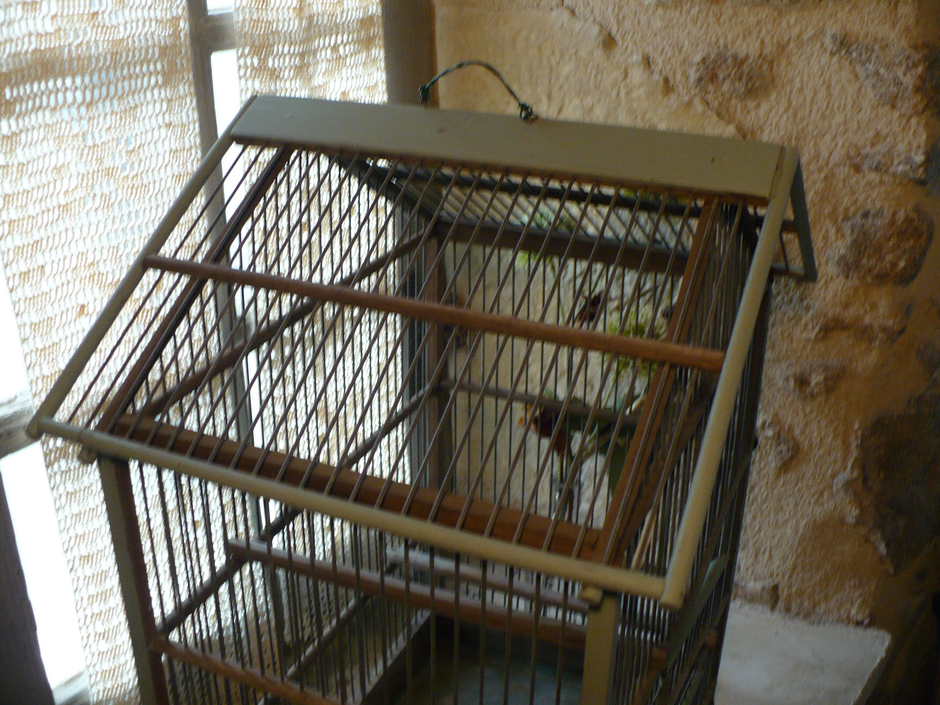 Bird cage