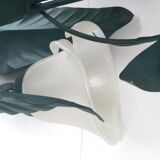 Applique arum