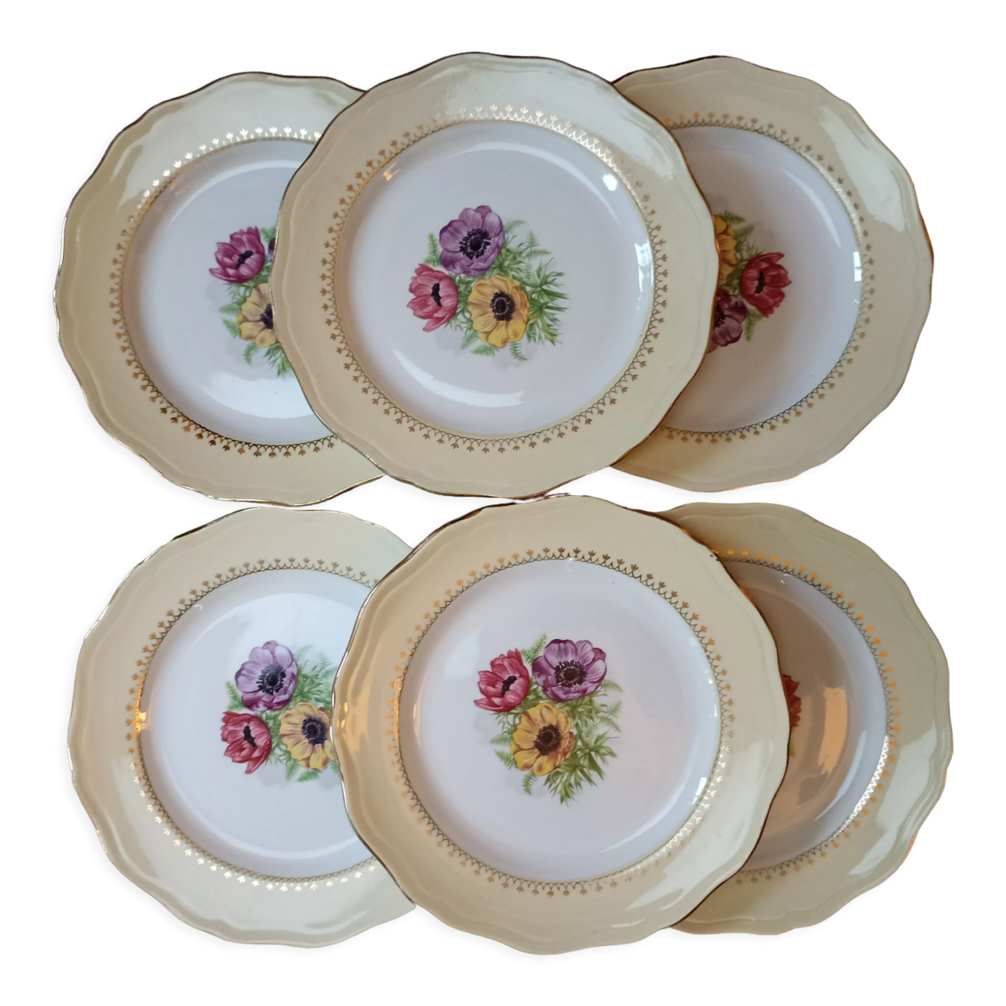 Flat plates L'amandinoise