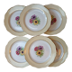 Flat plates L'amandinoise
