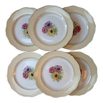 Flat plates L'amandinoise
