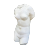 Plaster bust
