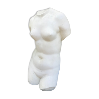 Plaster bust