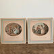 Lot antique prints A.Suntach