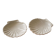 Set of 2 scallop shell bowls in beige and light brown porcelain
