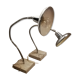 Pair of articulated lamps