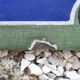 old enamelled street plaque