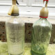 Anciens siphons crespi vert pâle