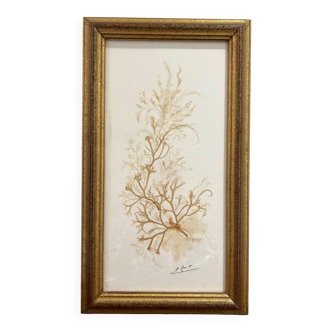 natural seaweed painting