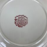 10 plates earth of iron red Royal Tudor model 17th century England ironstone