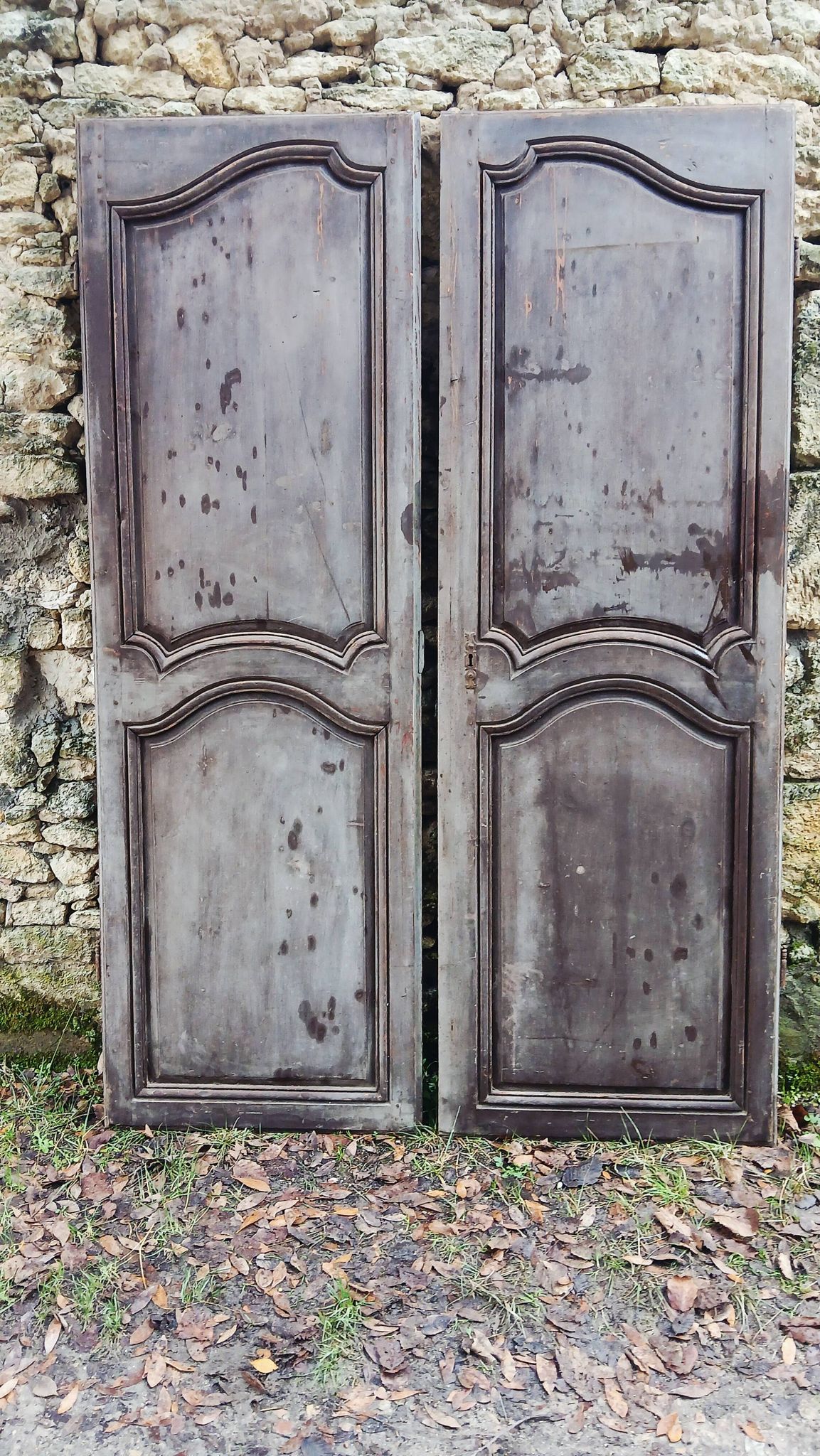Pair of antique doors