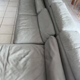 Roche Bobois sofa