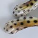 Large porcelain sculpture pair of leopards Italy 1970s Ronzan style