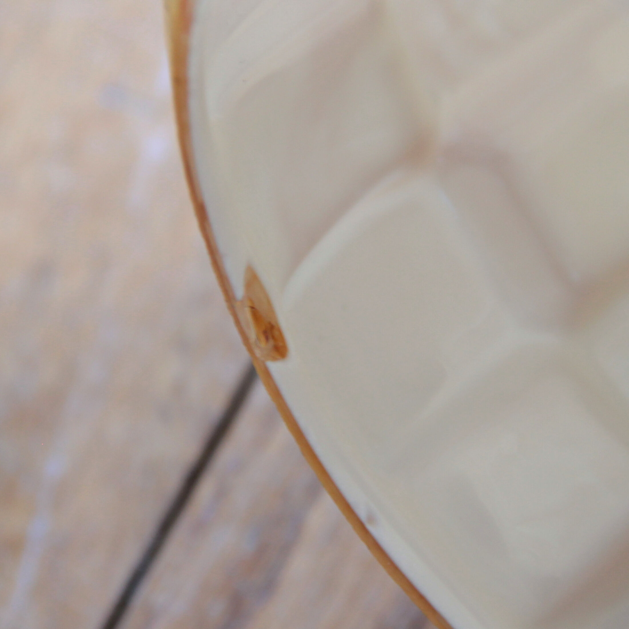 Old globe wall lamp in gilded Clichy glass and vintage chromed metal