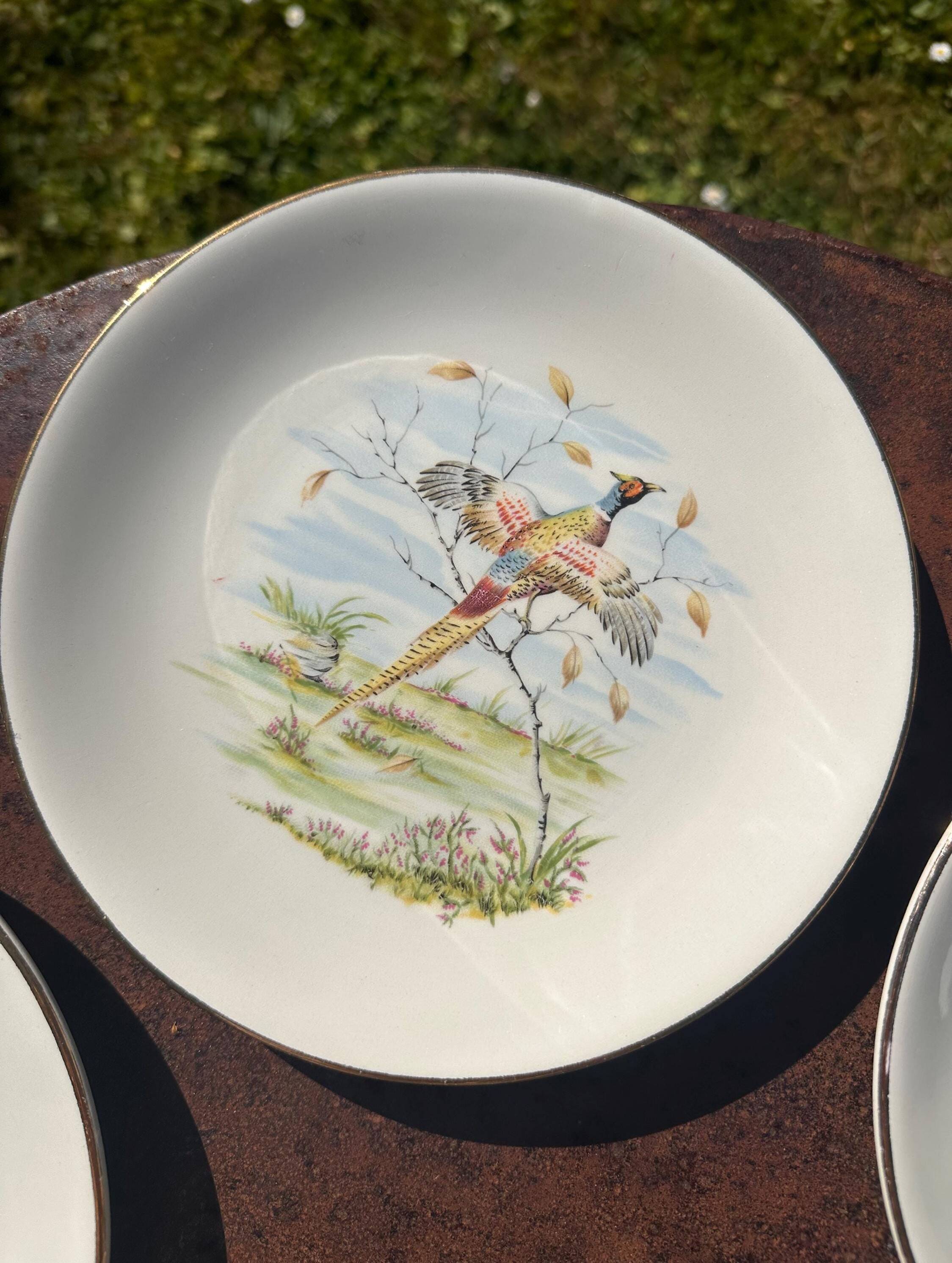 Set of 5 flat plates in Gien earthenware, Primefleur collection.