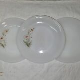 3 arcopal plates from 1970