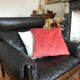 Ginkgo leaf cushion