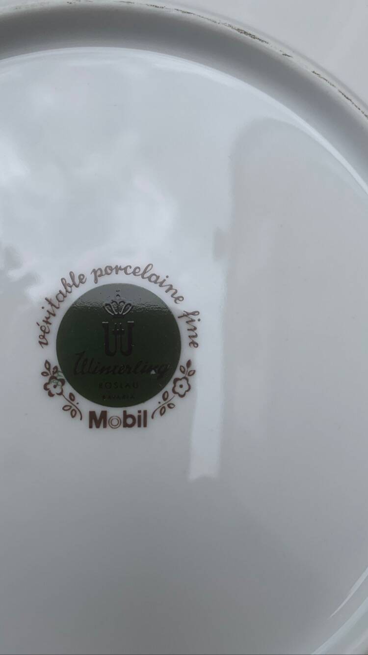 6 winterling bavaria porcelain herbarium pattern flat plates