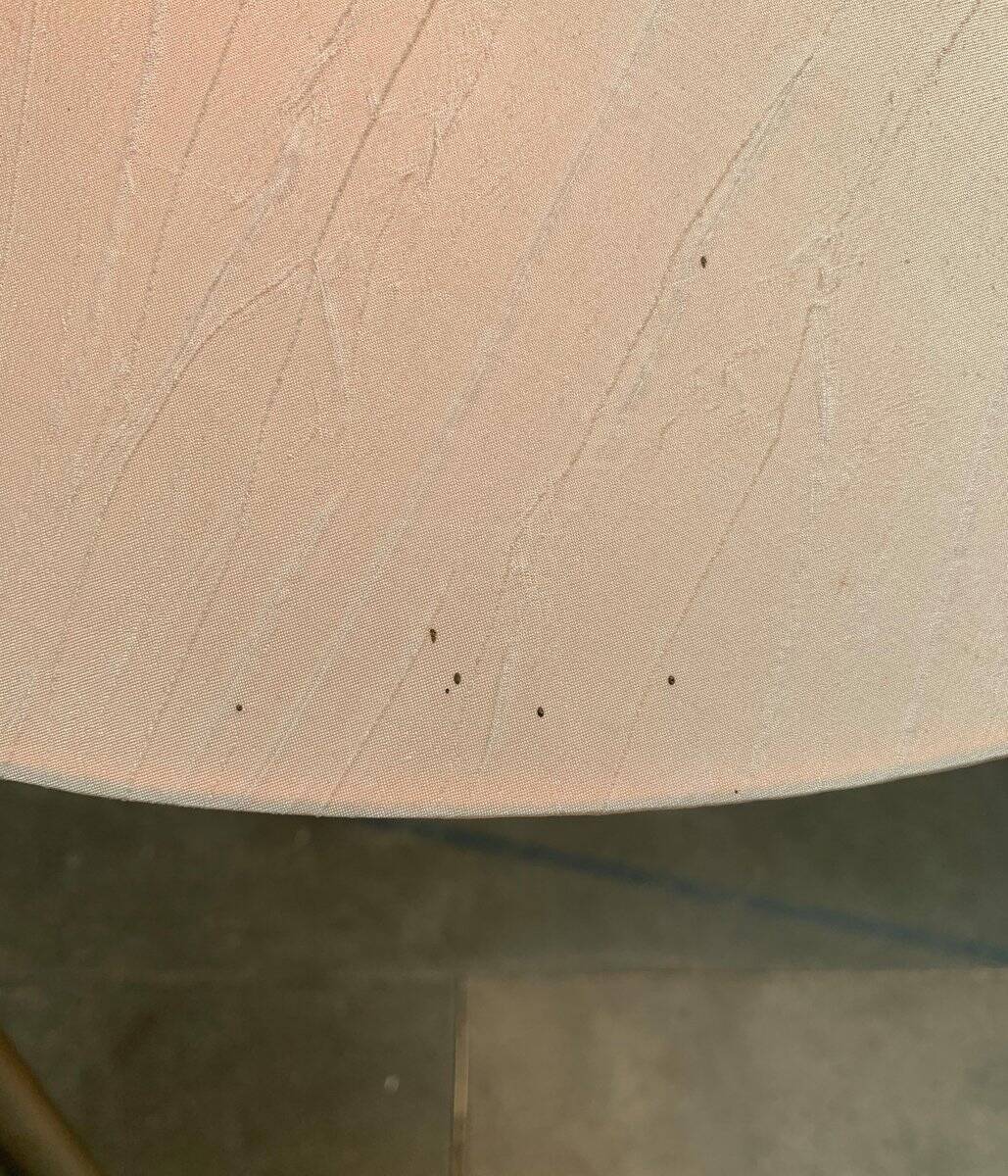 Adjustable floor lamp