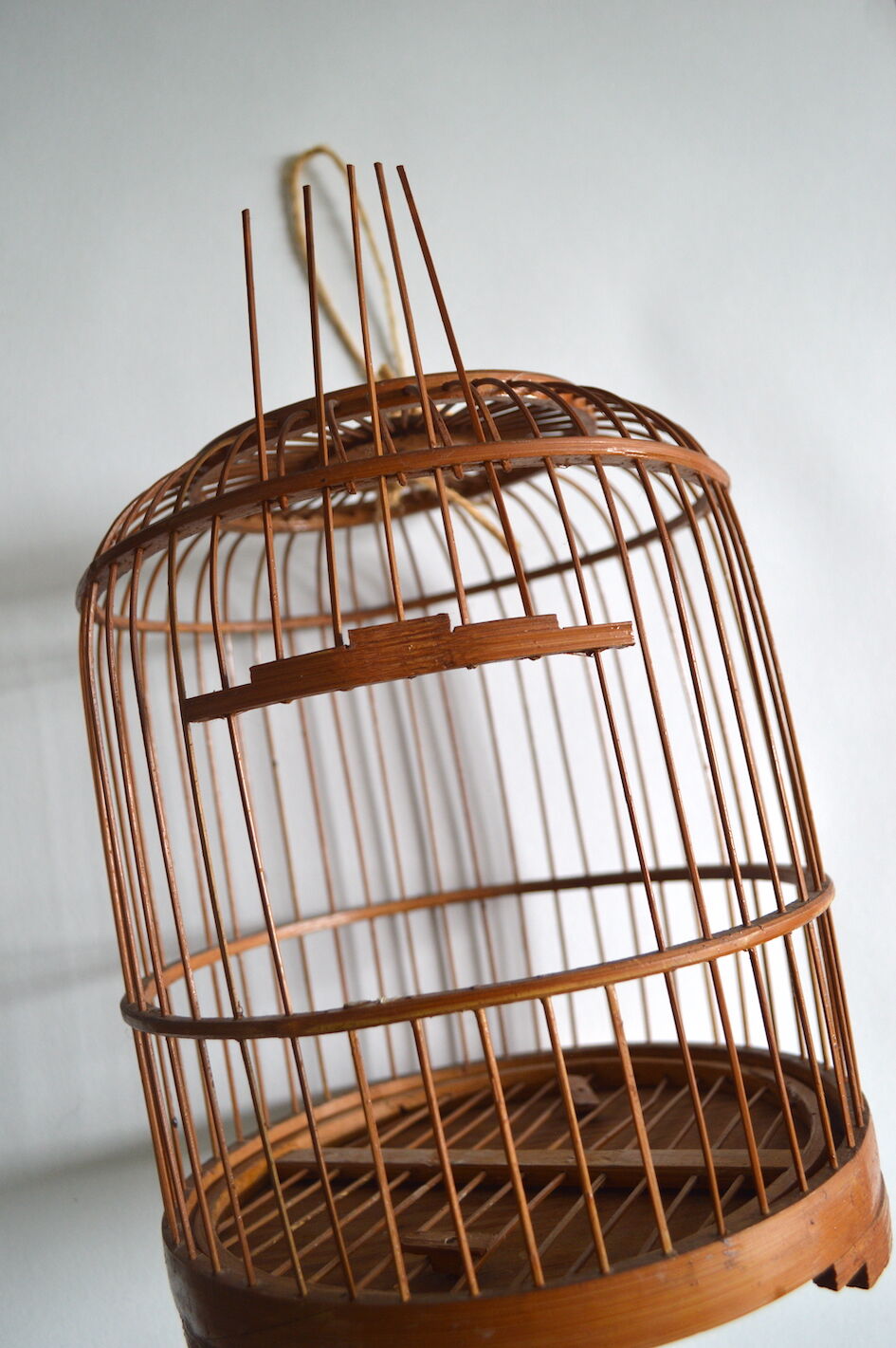 Old bird cage