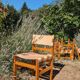 4 solid elm chairs Maison Regain, France 1970s