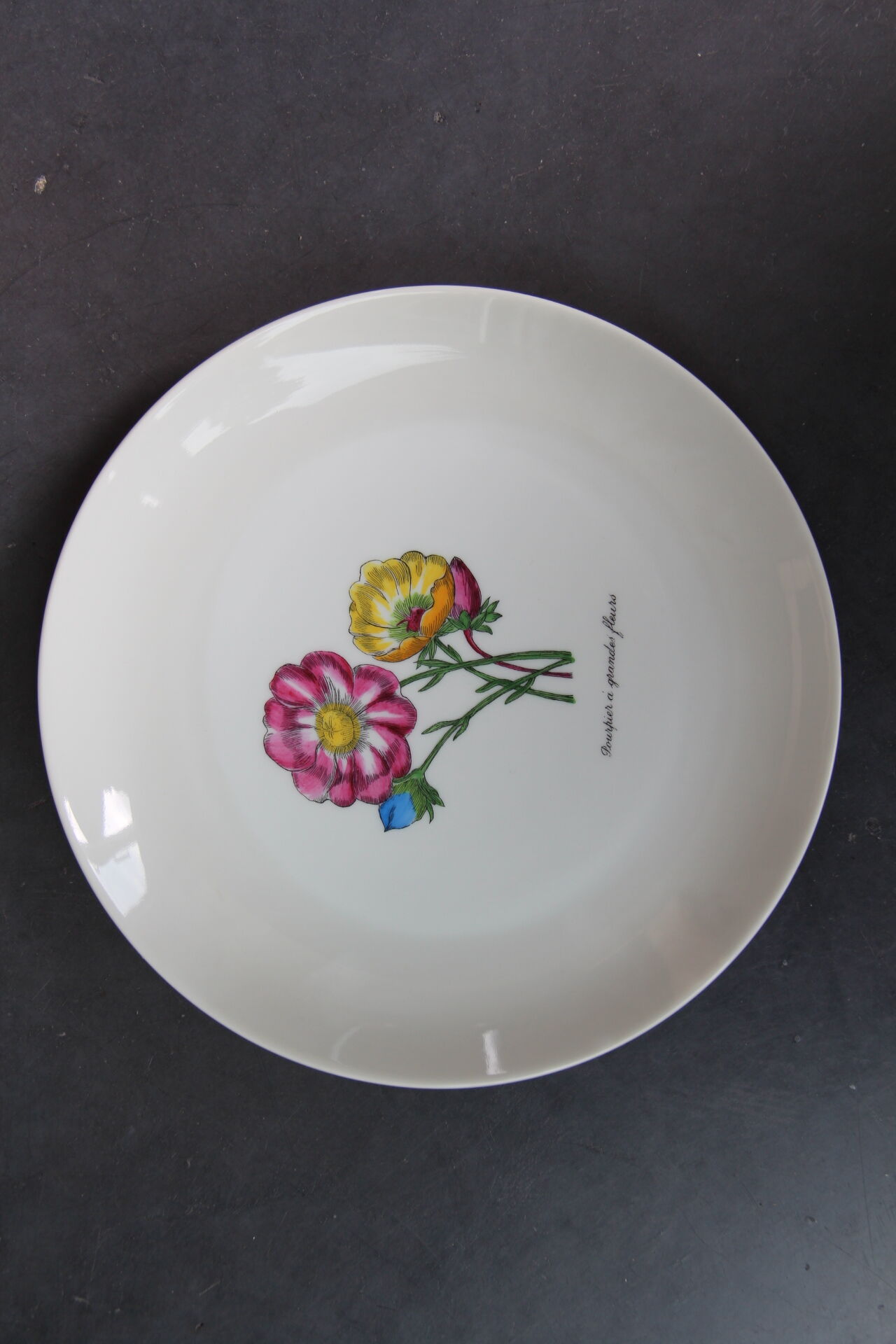 6 NBD Limoges dessert plates illuminated by hand