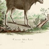 Poster about the Elk, based on an old engraving from 1774.
