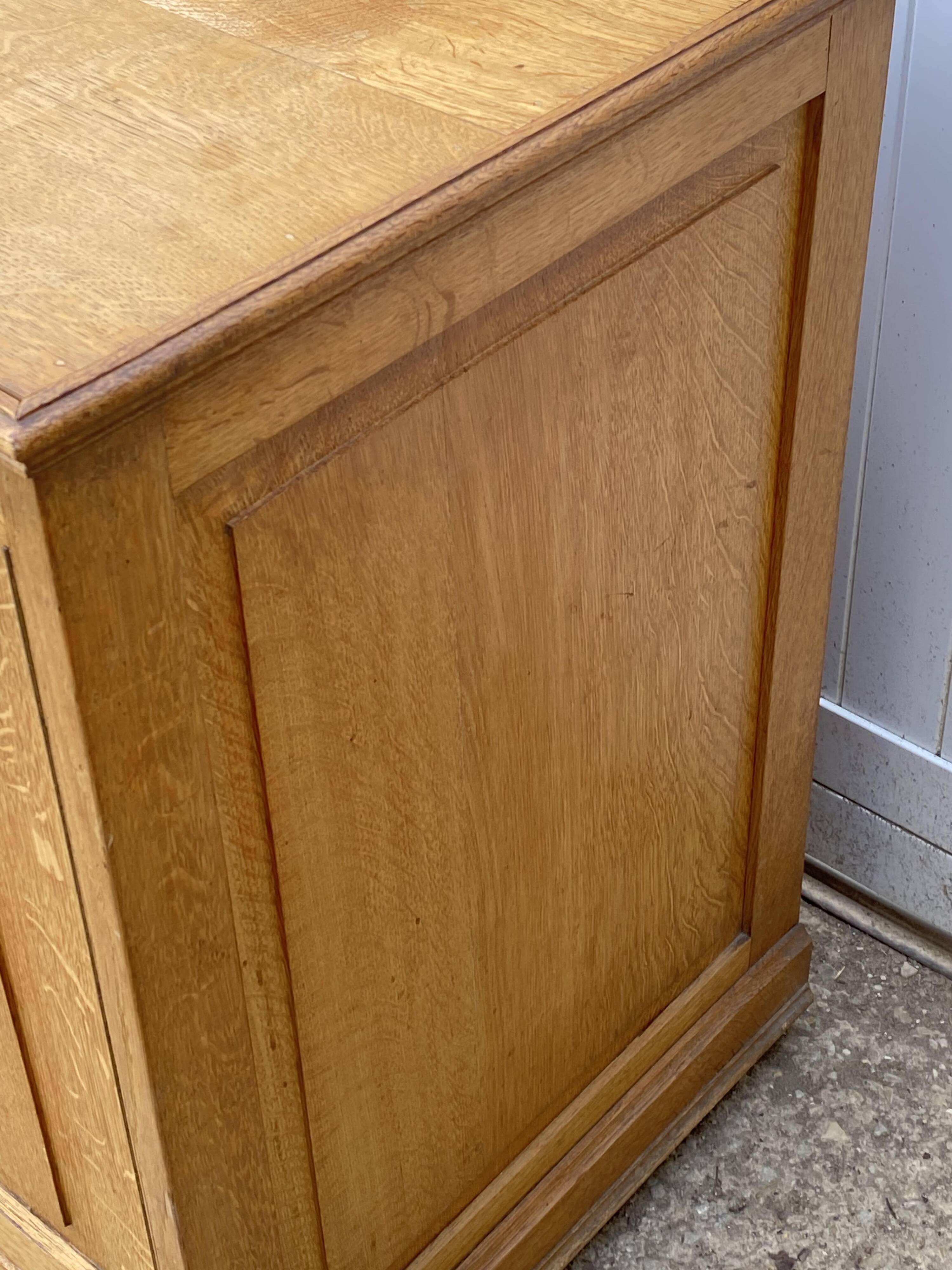 2-door storage unit in oak and oak veneer 50