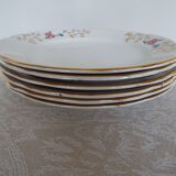 6 flat flowered plates