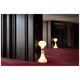 B1/15610 Lampe Prominent par Karel Volf