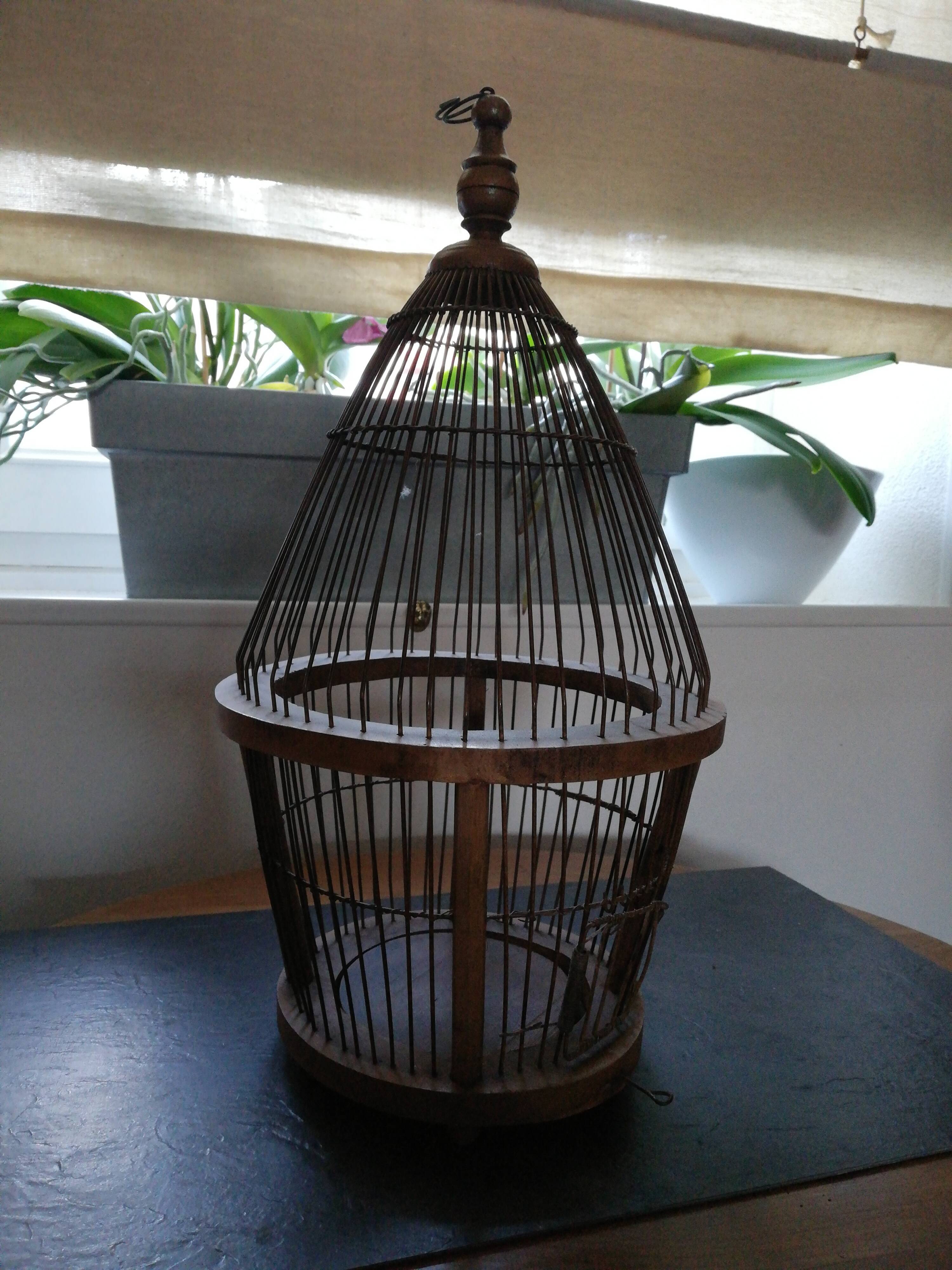 Cage à oiseaux en noyer
