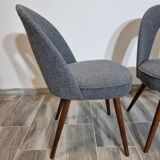 Dining chairs by A. Suman