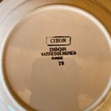 Set of 2 hollow plates Digoin & Sarreguemines model "Cibon"